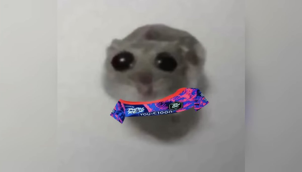 NxG benito platanito🇵🇷 tweet media