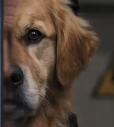 Coincidence? I think not! 
$BUDDY is always watching! IYKYK