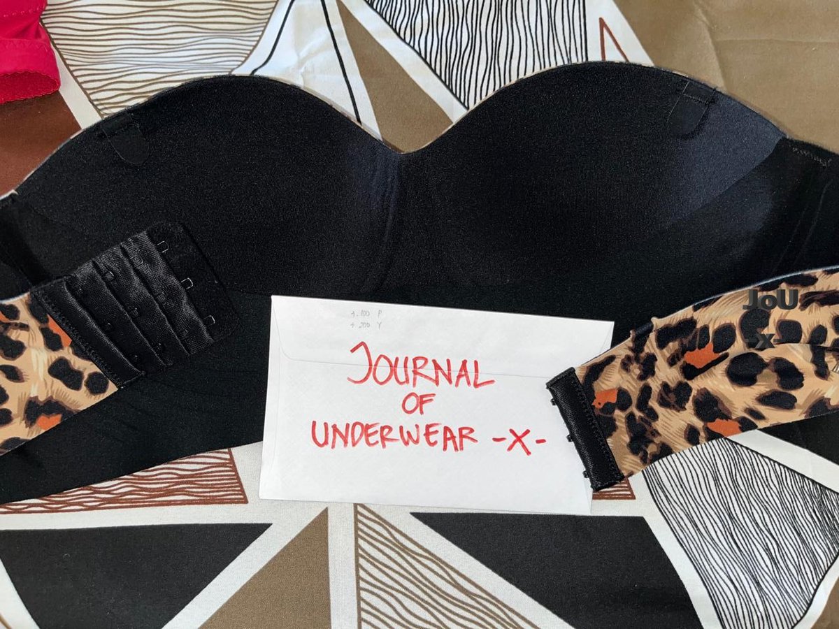 Journal of Underwear tweet media