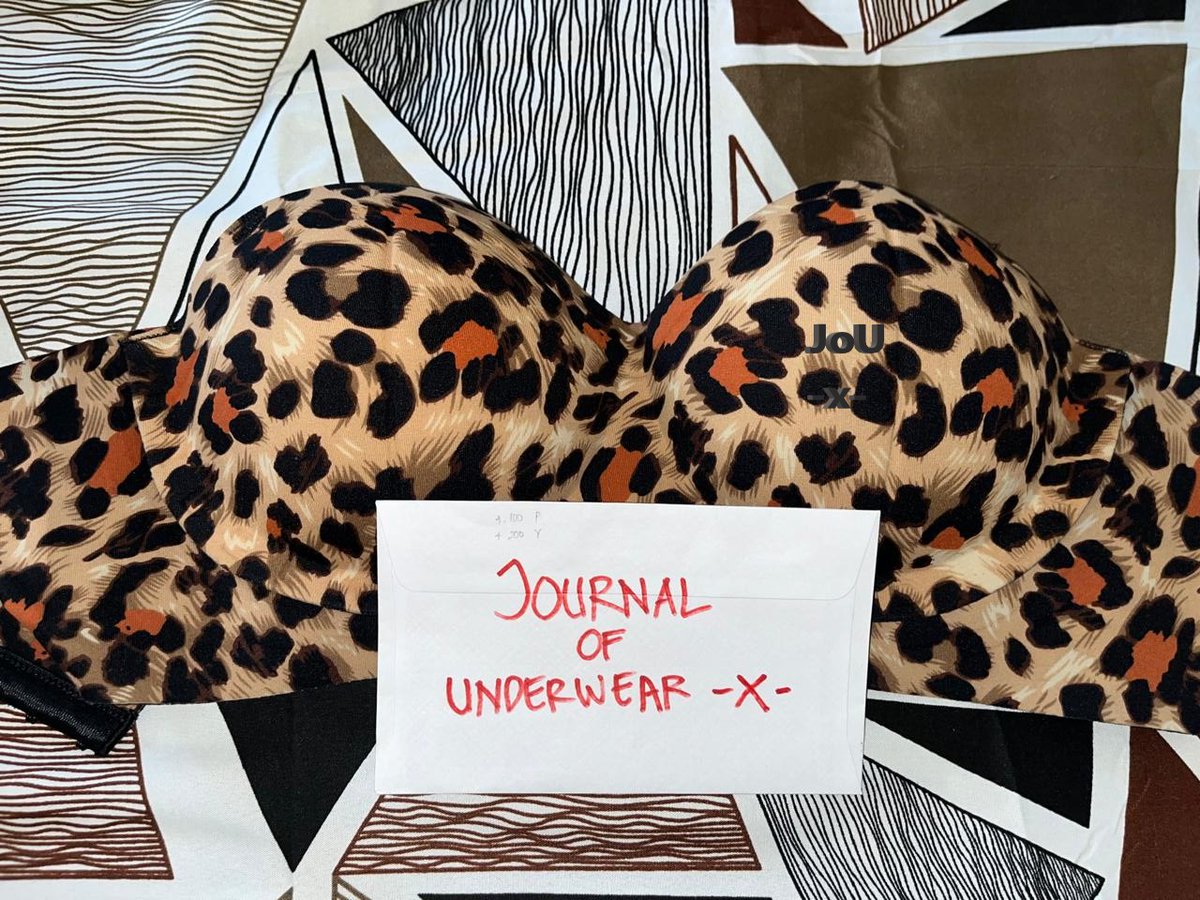 Journal of Underwear tweet media