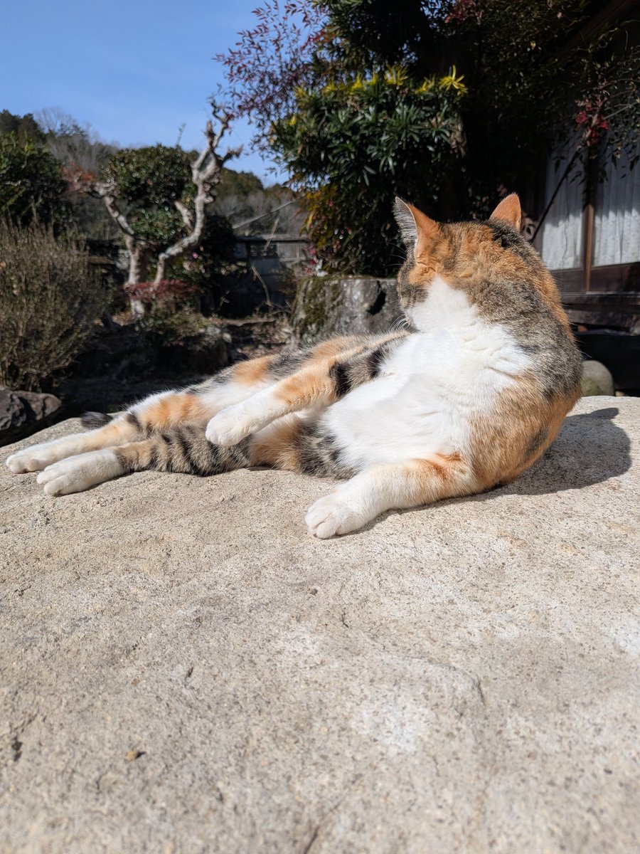 絶倫大仙人朔夜13ぱんだぜー ฅ•ω•ฅ tweet media