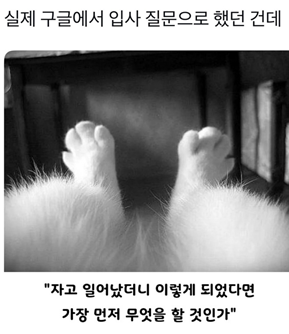 견백 tweet media