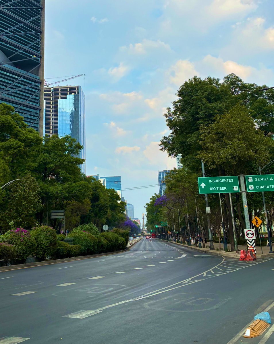 Omar Marroquín tweet media