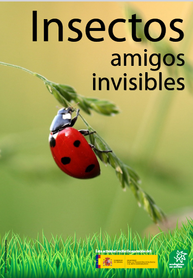 Theo Oberhuber tweet media