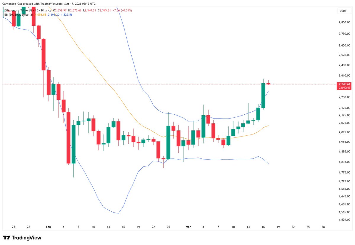 Cantonese Cat 🐱🐈 tweet media