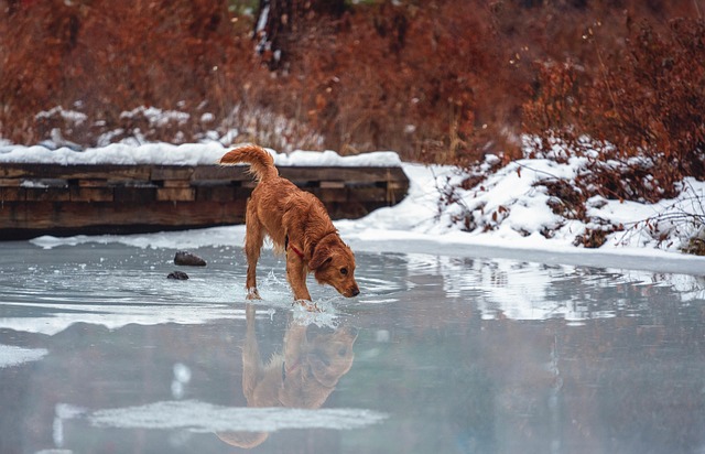 Marc Maldonado tweet media