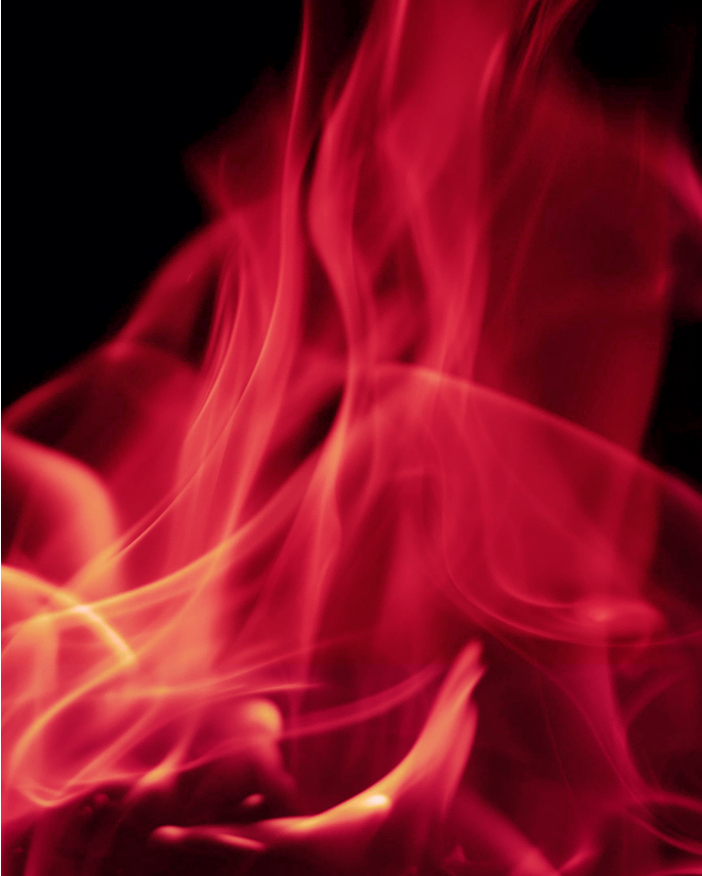 Lexus México tweet media