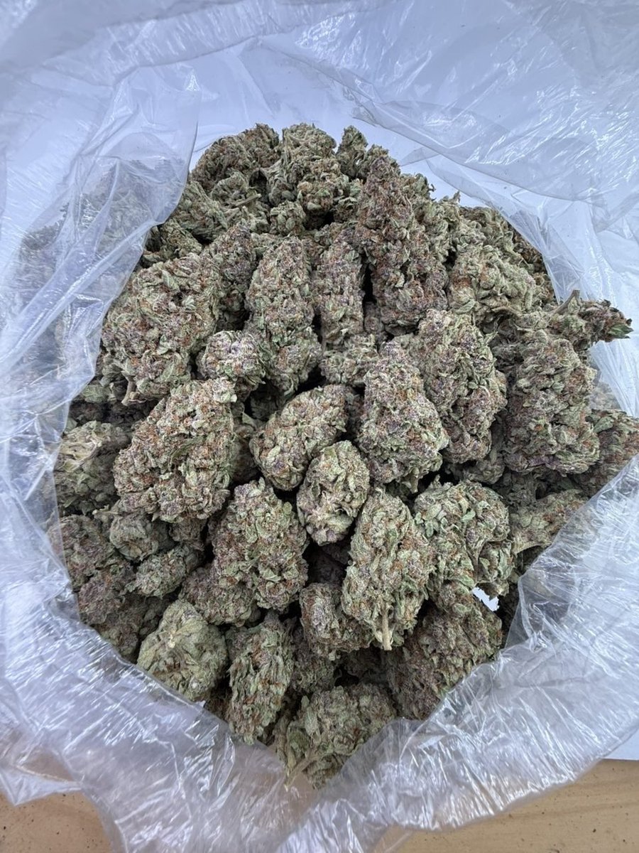 pourns14695's tweet photo. Fryds available on deck #jacksonville #tampa #kentucky #Kingsland #Sebring #LenaThePlug #Nolaweed #Sundayvibes #Sundayweed #Dopestrains #weeguy #Weedplug https://t.co/rz1MmgpPqN