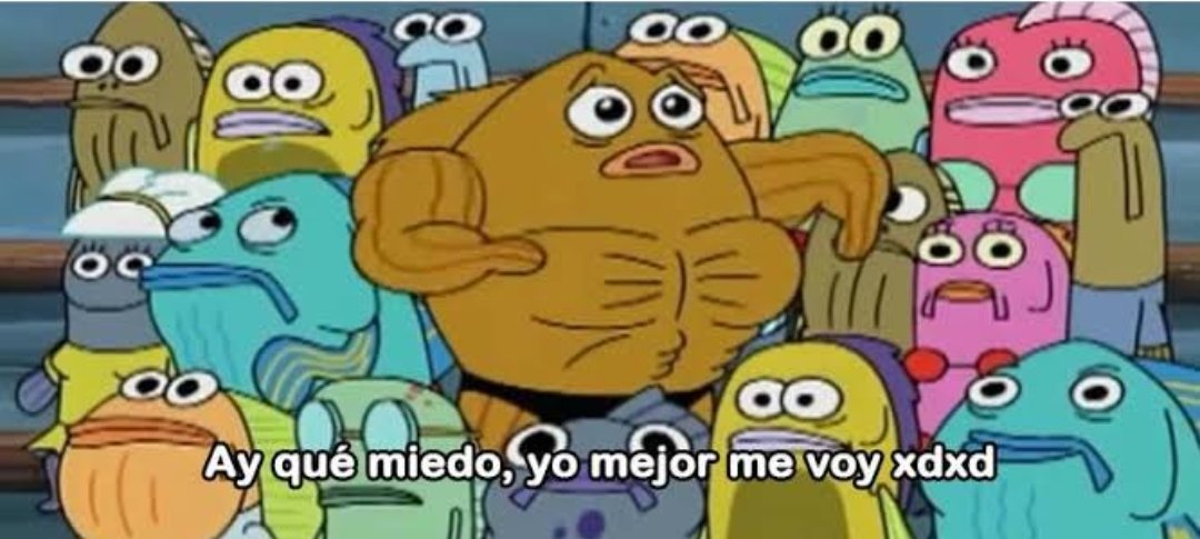 Daniotrix tweet media