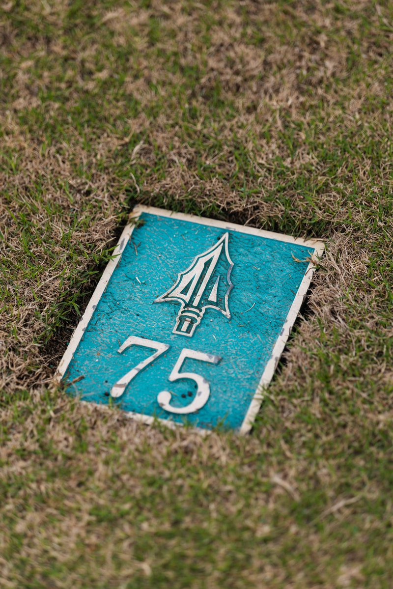 Holderness & Bourne tweet media