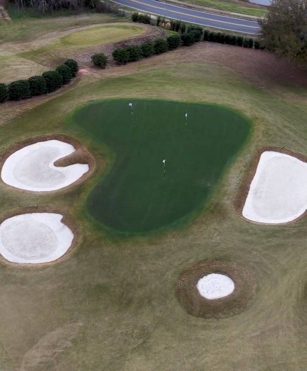 Holderness & Bourne tweet media