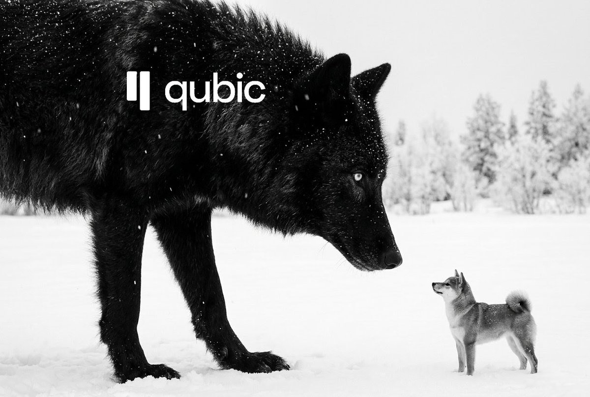 GayathriN120093's tweet photo. A software based test miner has already produced the first DOGE share through the full pipeline: DOGE pool → dispatcher → miner and back. The entire flow architecture is validated. This isn't vaporware. It literally works. 🛠️ $Qubic #DogeMining https://t.co/ARcSxsW4eM