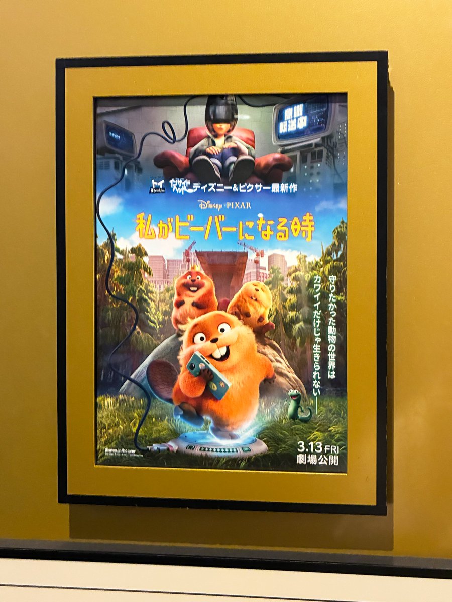 Creation__2016's tweet photo. おはようございます！本日の千代田区はくもり☁️

中の人は先日映画を観てきました！
色々な生き物の共生を描いた笑いあり涙ありの素敵な映画で、楽しい時間を過ごせました！
おすすめです🦫💕
#企業公式が毎朝地元の天気を言い合う https://t.co/z0LQO4Wg8F
