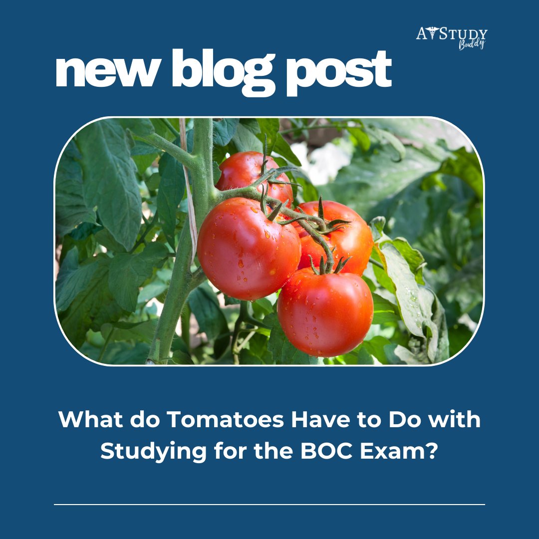 ATStudy Buddy tweet media