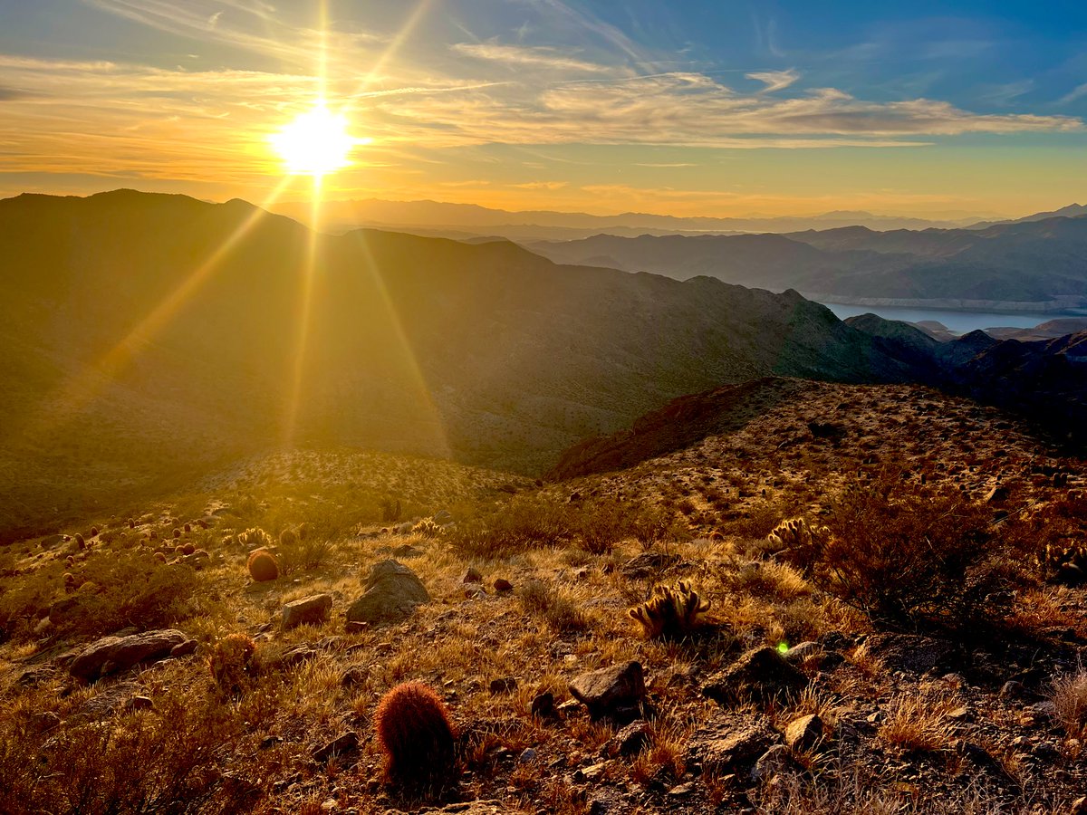 Flawwed1 tweet media