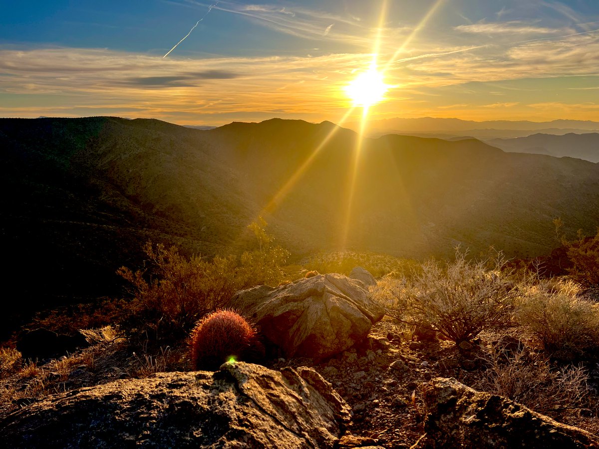 Flawwed1 tweet media