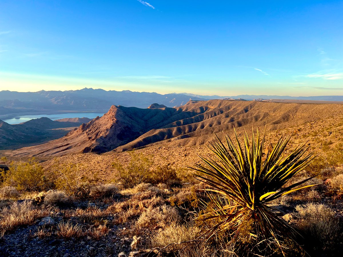 Flawwed1 tweet media