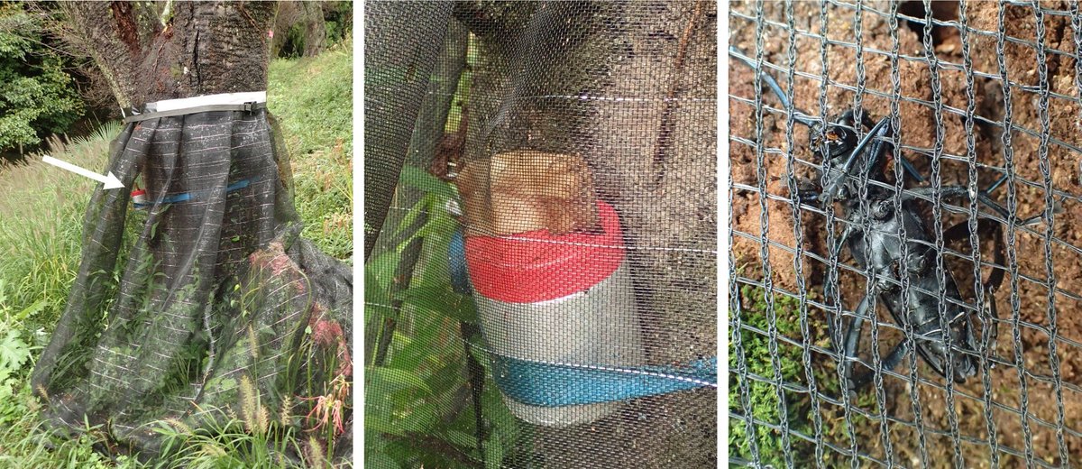 森林総合研究所（森林総研） tweet media