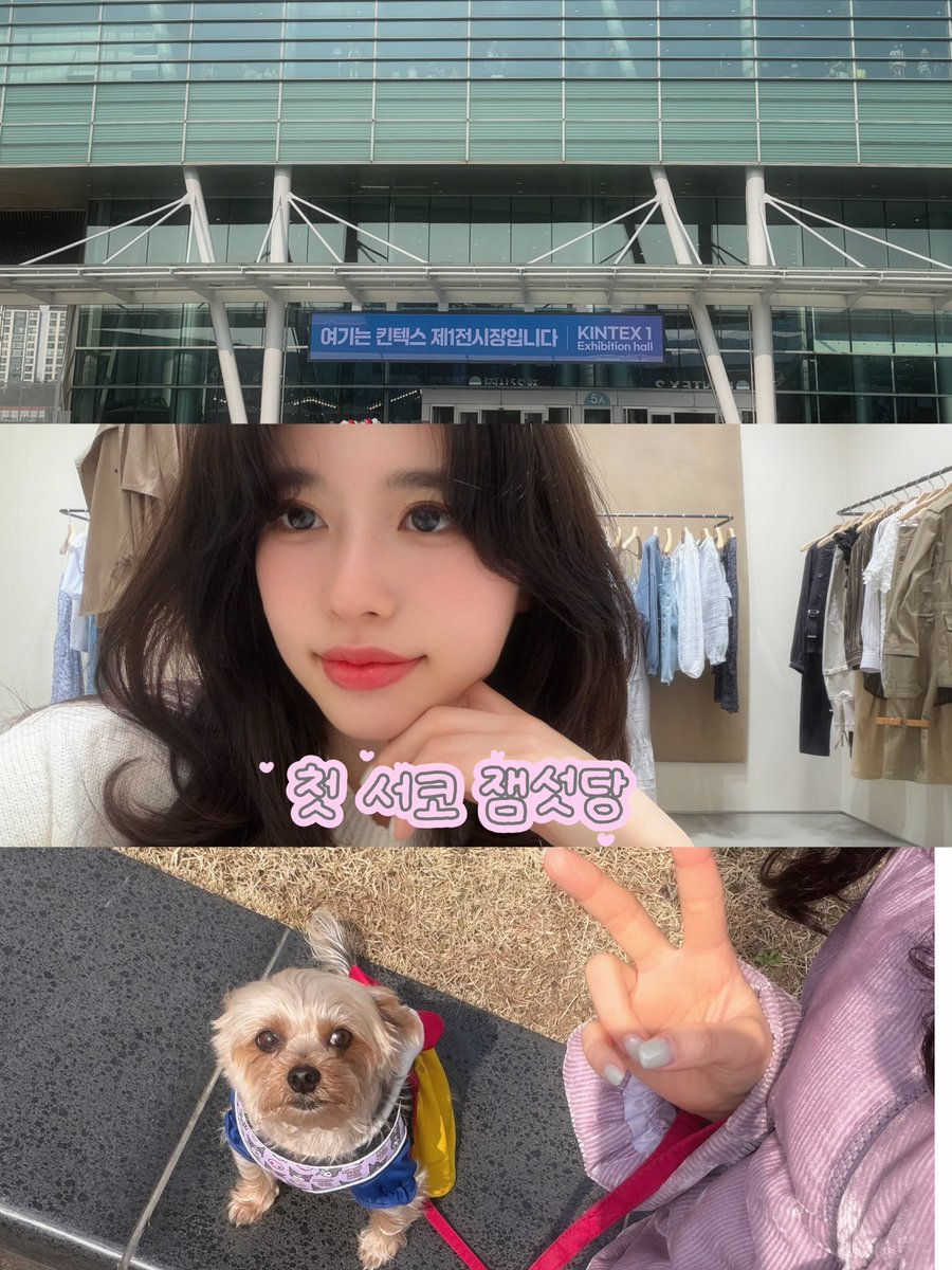 희쁨ᰔᩚ tweet media