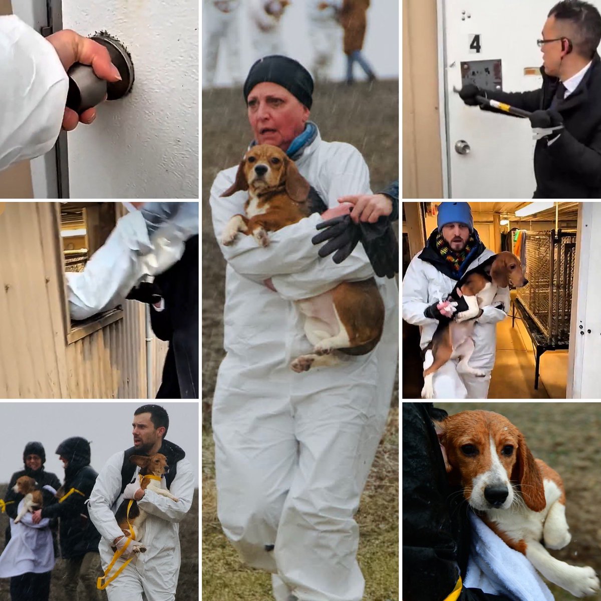 Jessica Tighe tweet media