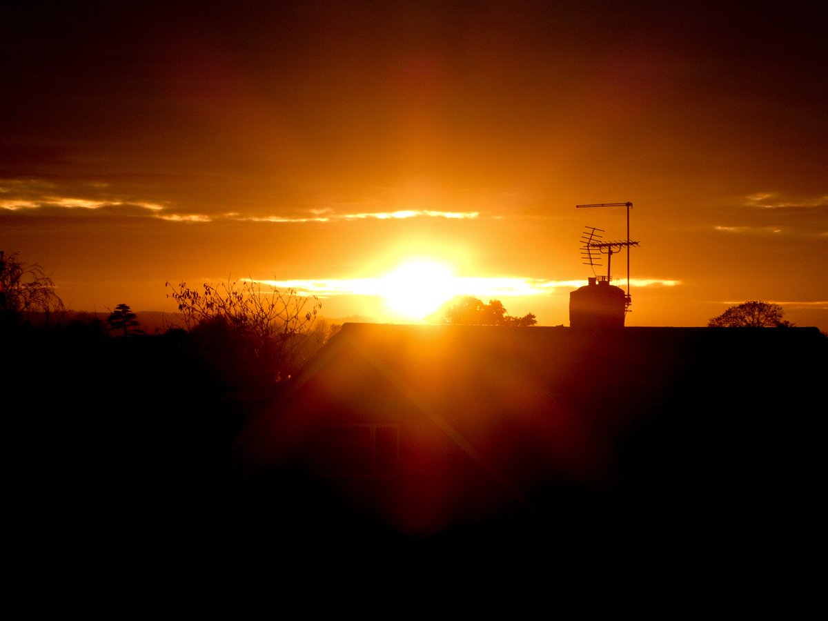 🅰️G▶️ tweet media