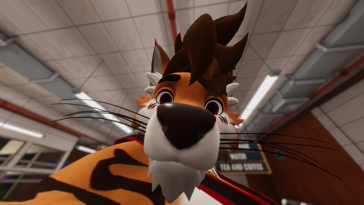 Baluarte tweet media