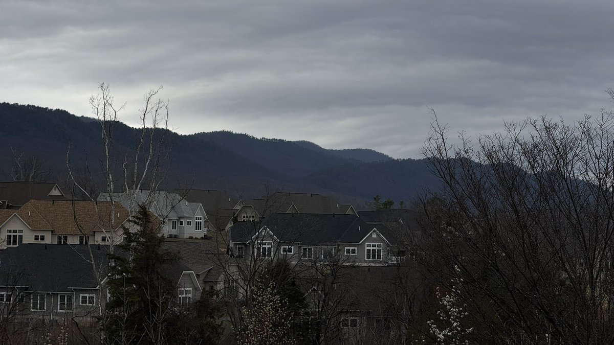 Thatmangyro🇩🇴 tweet media