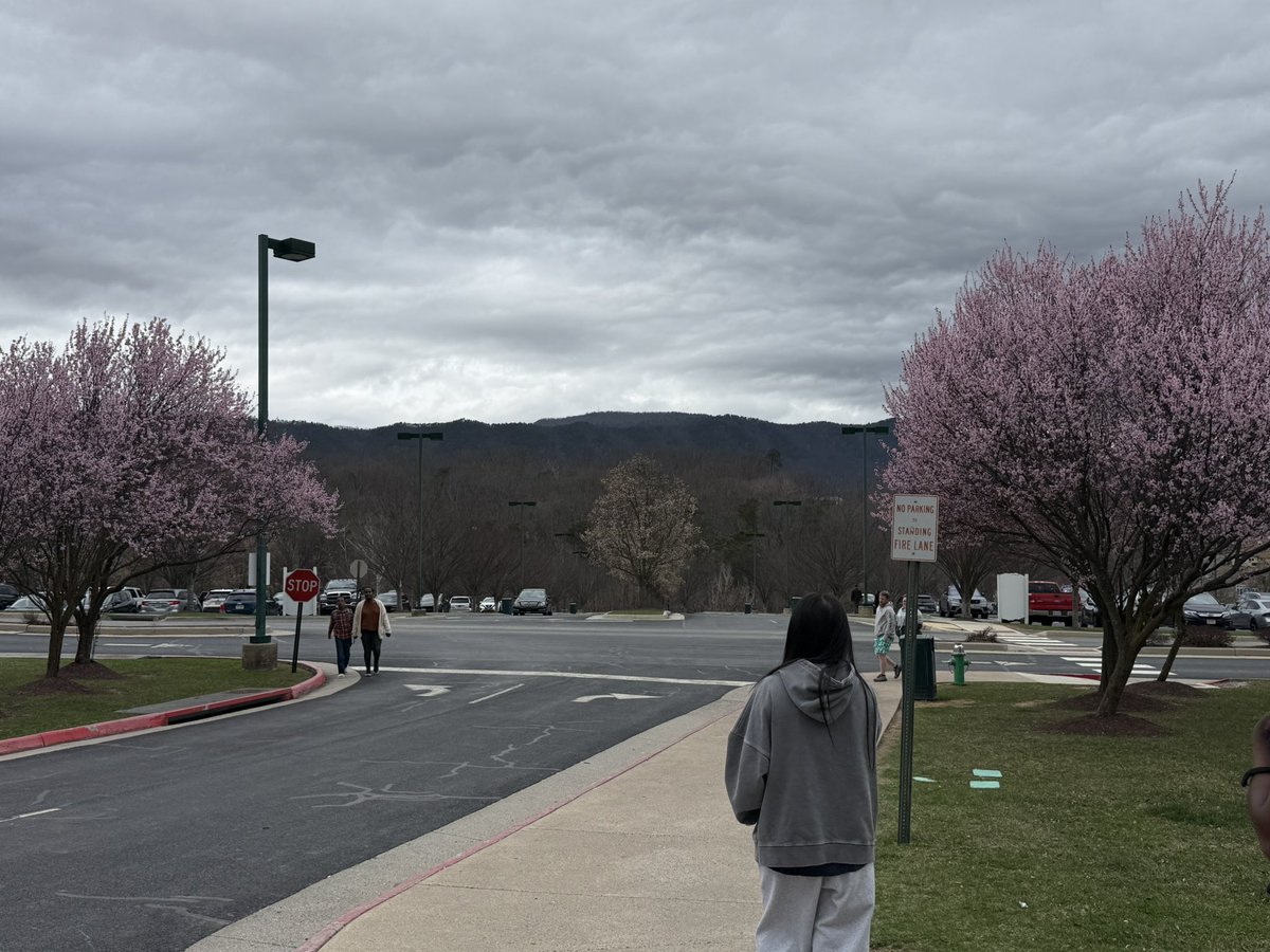 Thatmangyro🇩🇴 tweet media