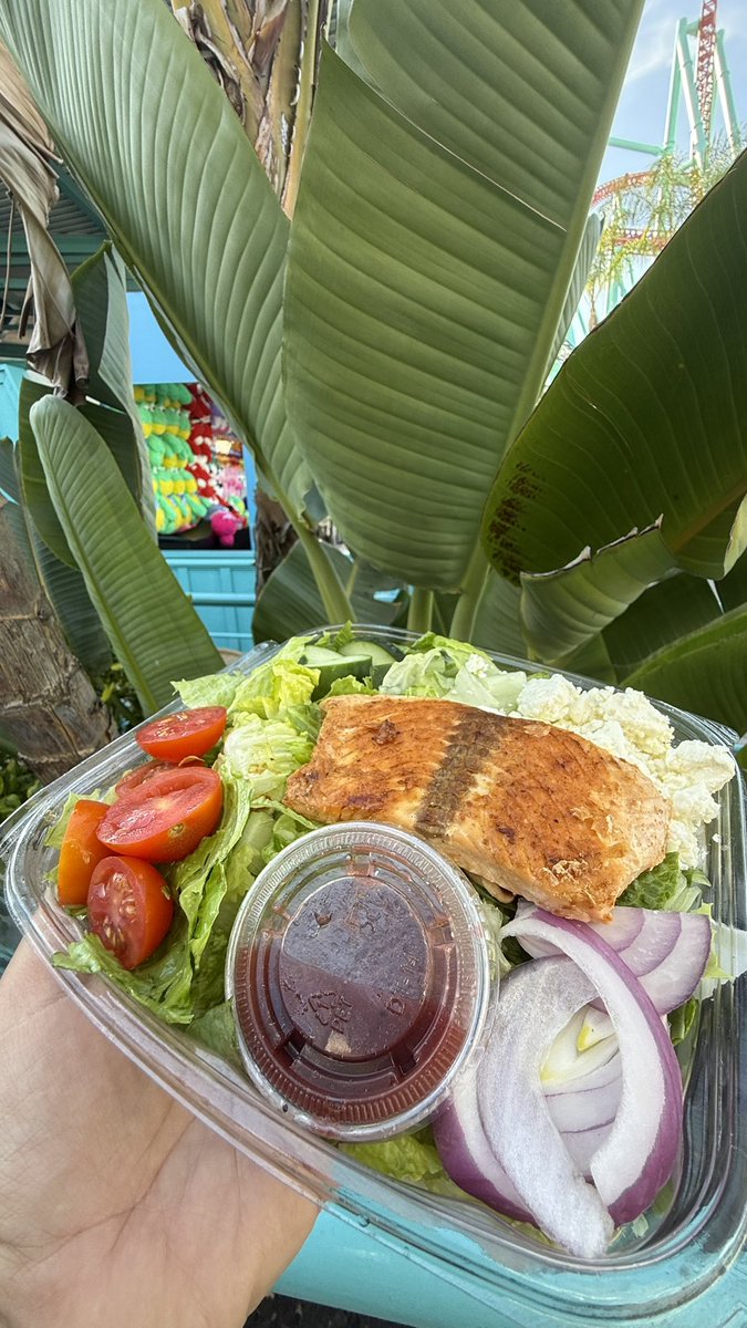 ParksAndCons's tweet image. We tried the Salmon Salad with Boysenberry Vinaigrette and enjoyed it. The salmon is served cold on a bed of crispy romaine lettuce with tomatoes, cucumbers, onions, &amp;amp; ricotta cheese. We enjoyed and will definitely get again before the season ends #BoysenberryFestival