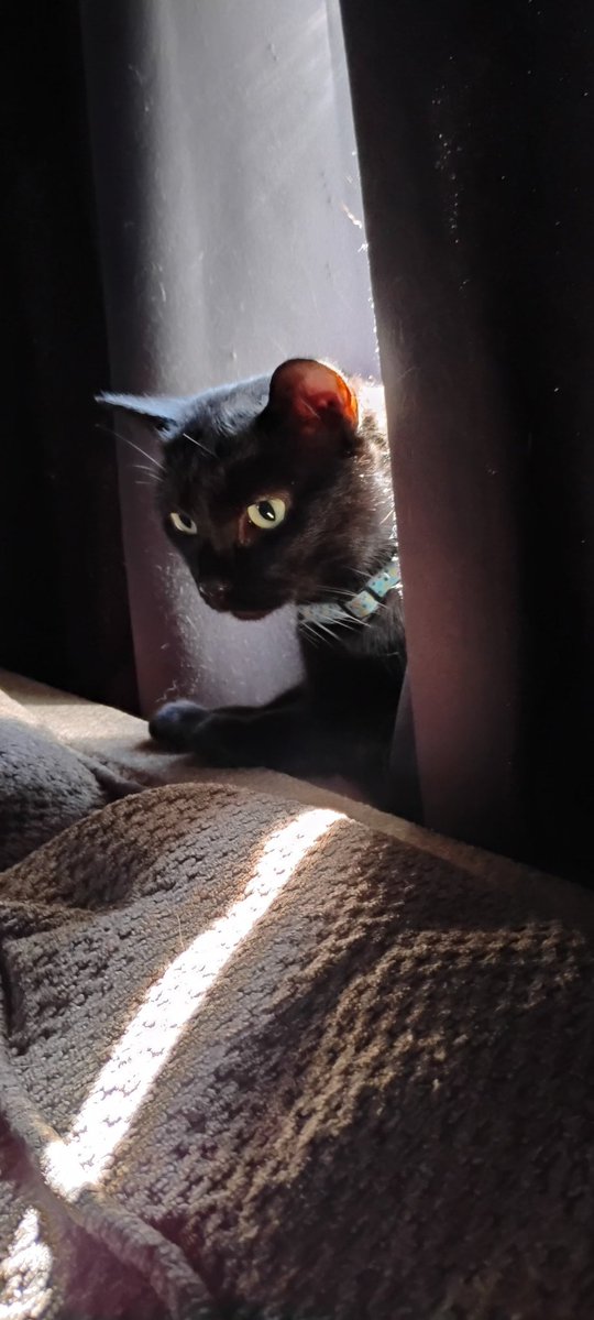 Suzi Mon Iker tweet media