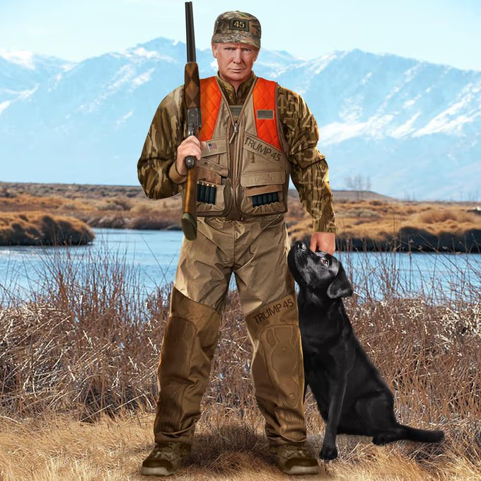 自然心 tweet media