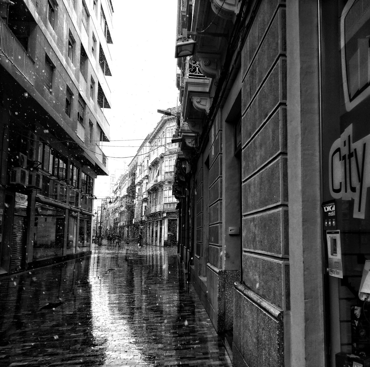 🅰️G▶️ tweet media