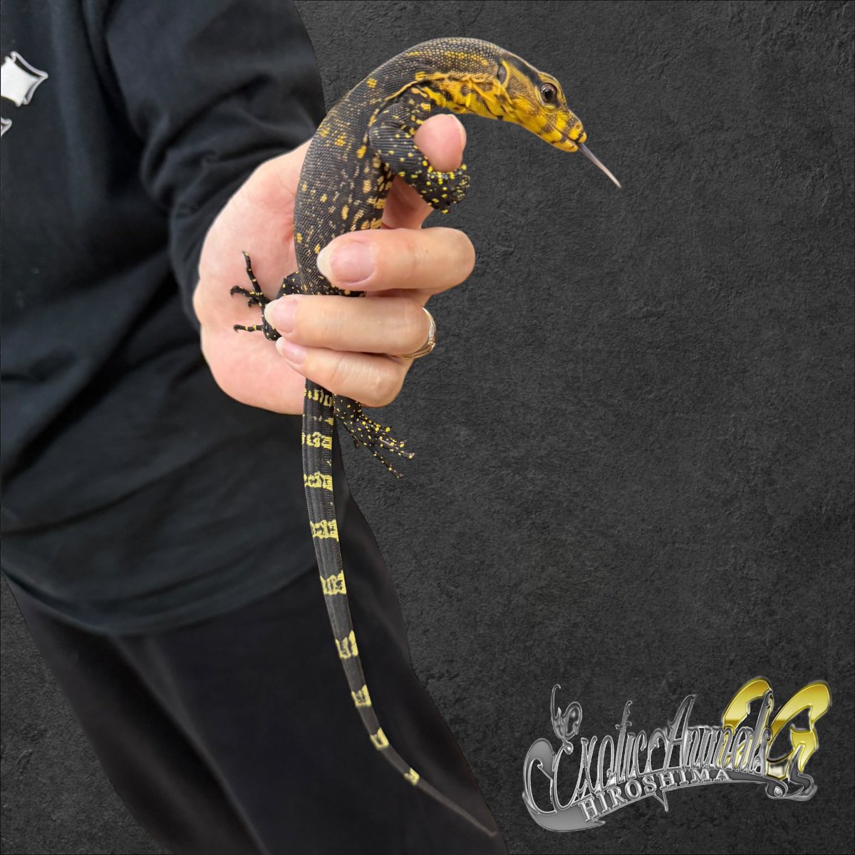 OG Hiroshima 五日市に移転しました！ tweet media