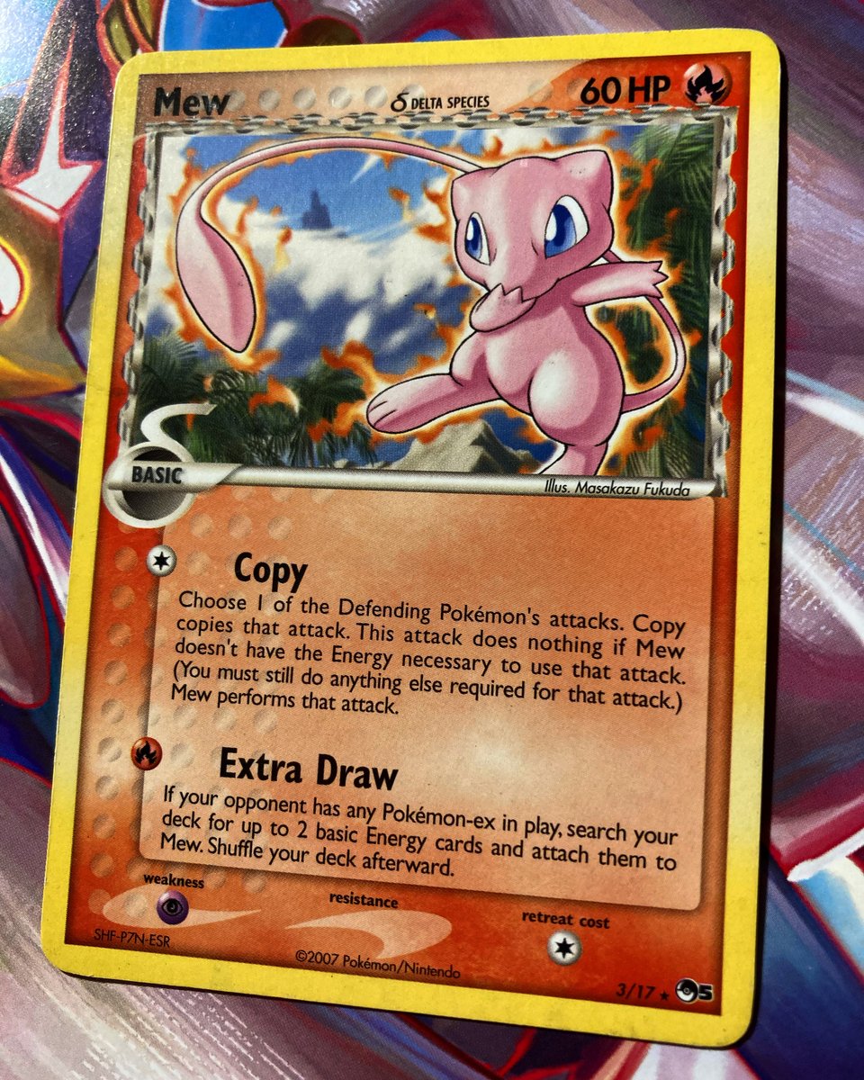 DachshundWizard 🧙‍♂️ tweet media