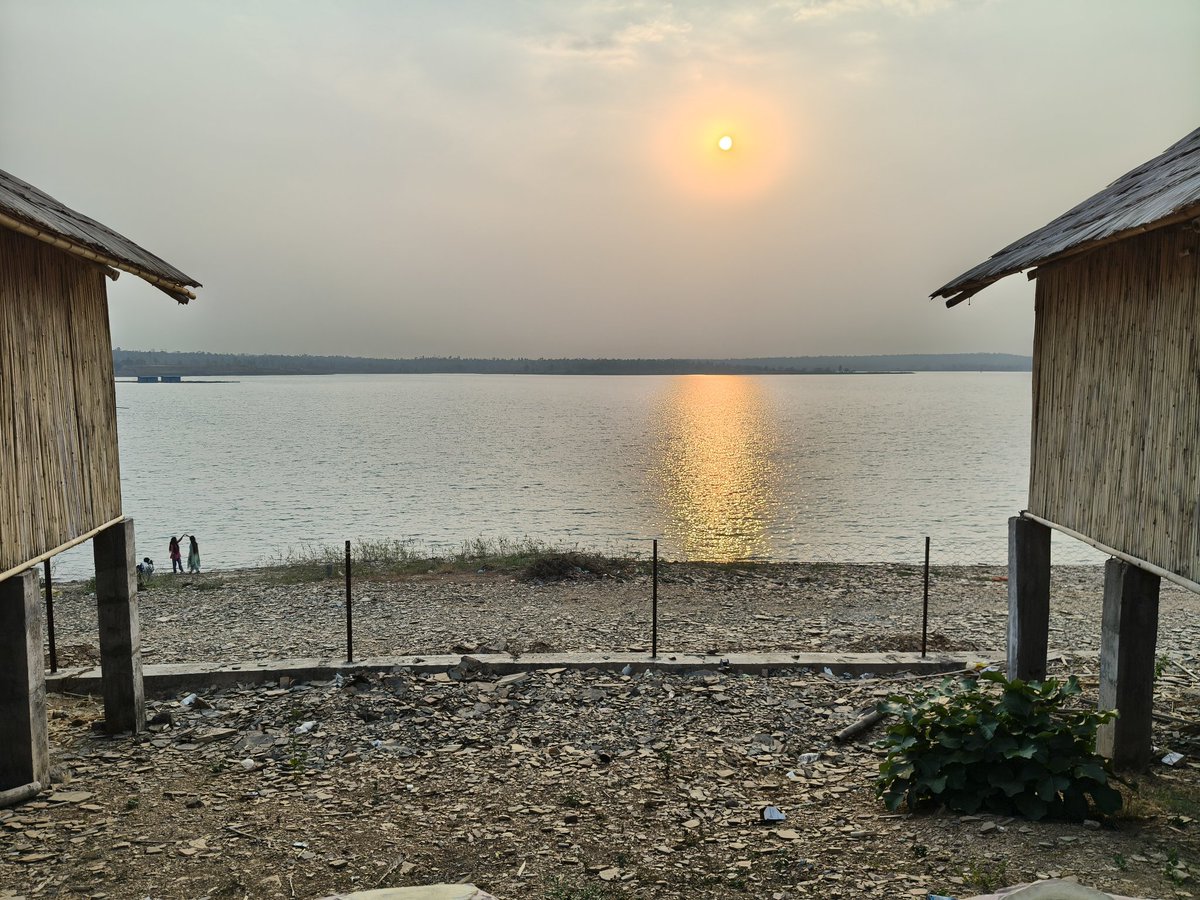 ShuklaaG's tweet photo. Budding Cashew from Bastar &amp; Pictures from Kosarteda Dam. https://t.co/DqWfBjYxlU