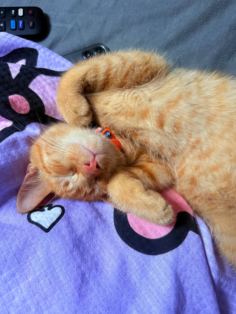 💕Lucy💕Dreaming tweet media