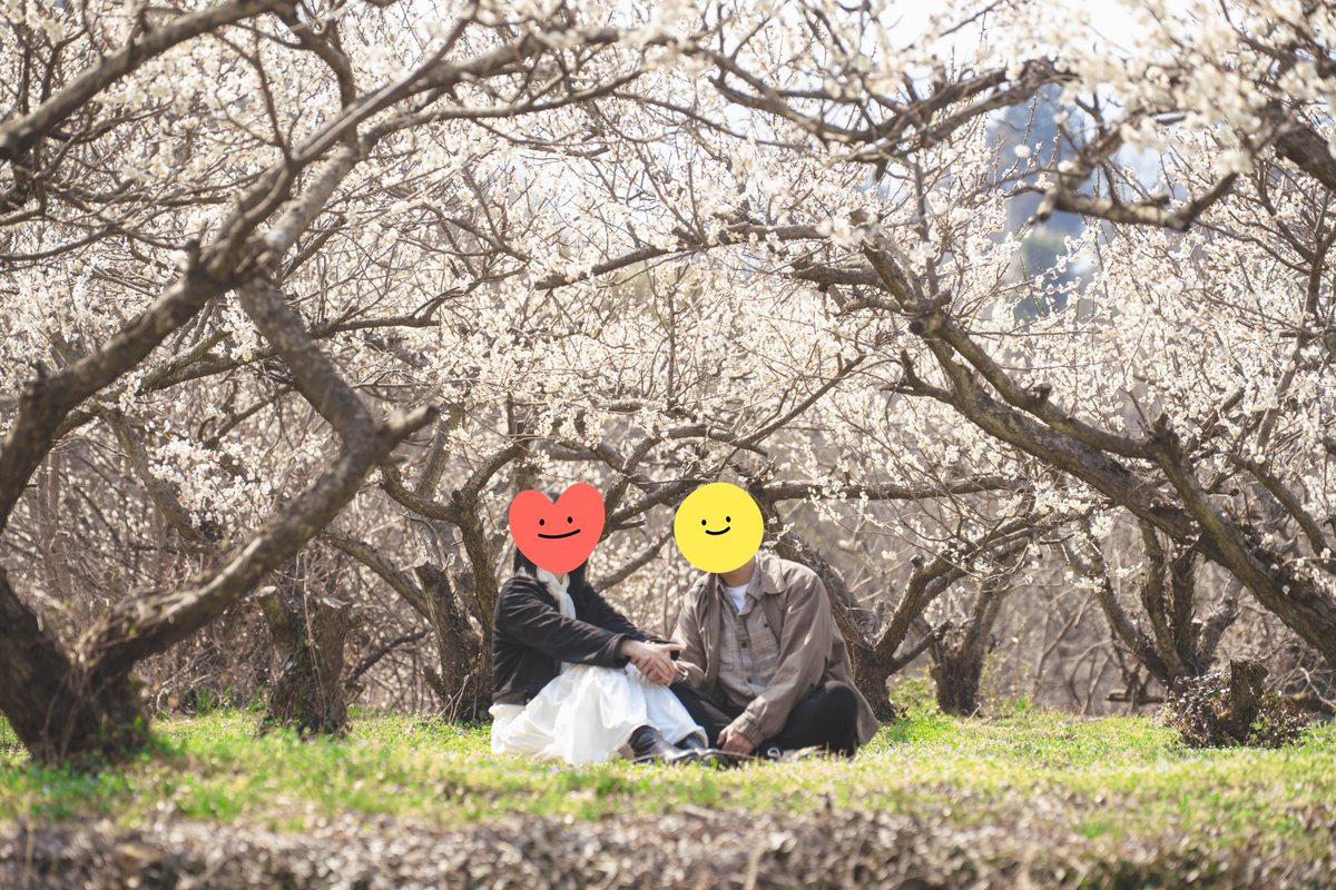 aRecluser's tweet photo. 📍경상남도 하동군(慶尙南道 河東郡)
韓国の南部地方は梅の花でいっぱい！
次は山茱萸！ そしてスイセン！
待ちに待った桜まで！
日本ではどんな花が咲いているのでしょうか。
#写真好きな人と繋がりたい
#한일부부 #日韓夫婦 https://t.co/bpLfDdwK6Z