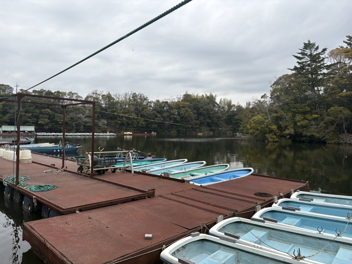 BASS TIME tweet media