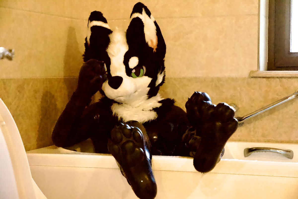 快乐脑浆 tweet media