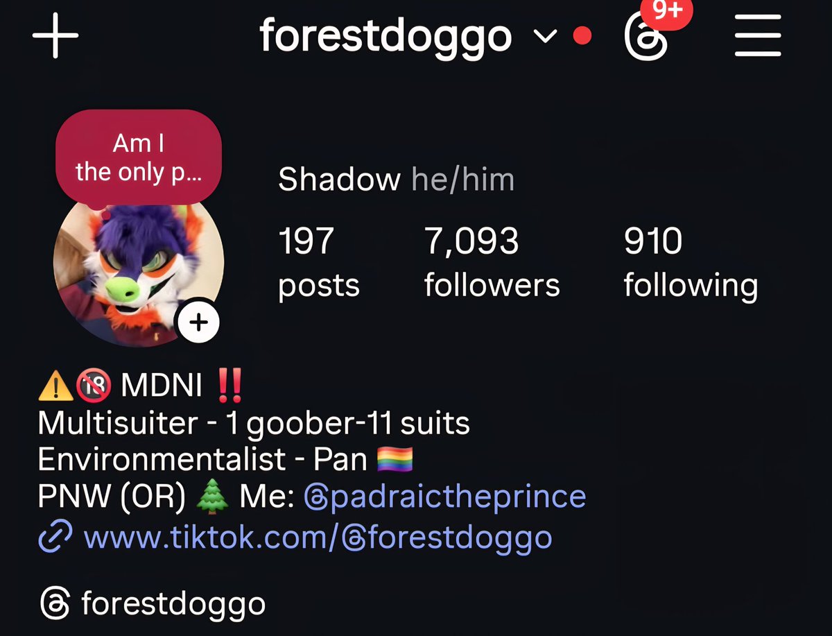 ⛧ Shadow ⛧ tweet media