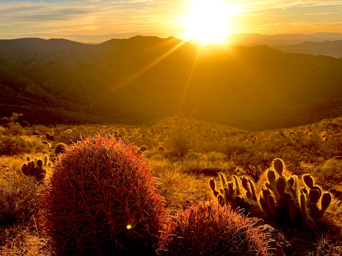 Flawwed1 tweet media