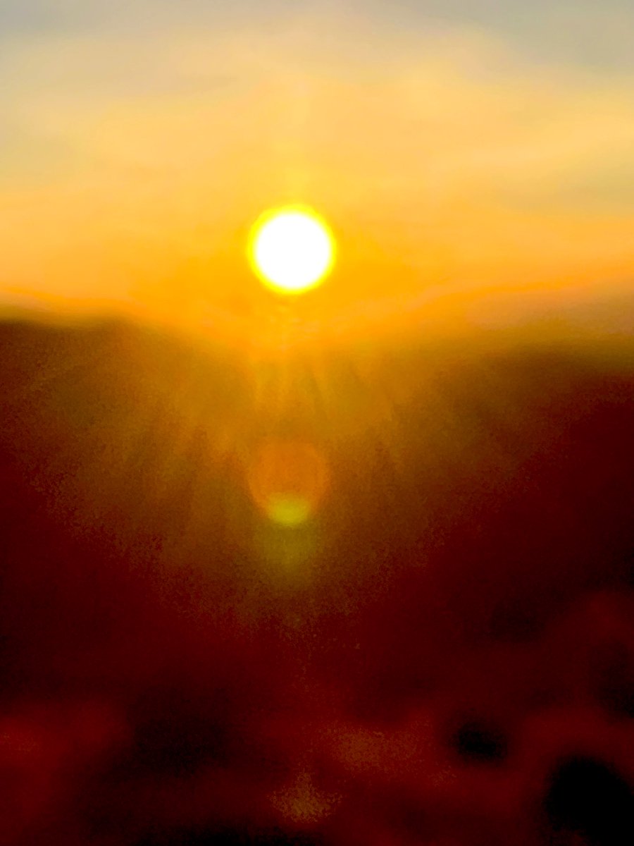 Flawwed1 tweet media