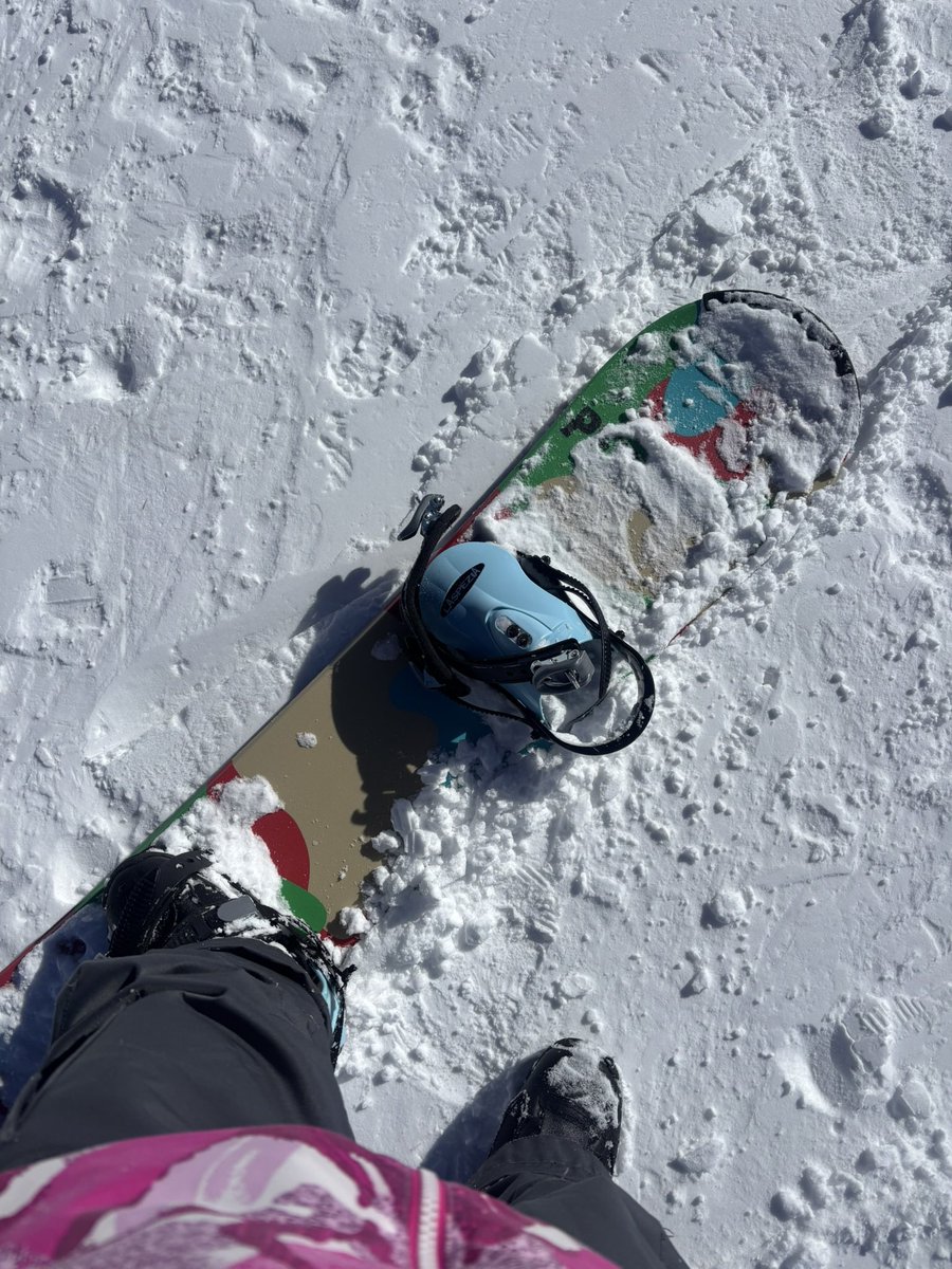 野下真歩 tweet media