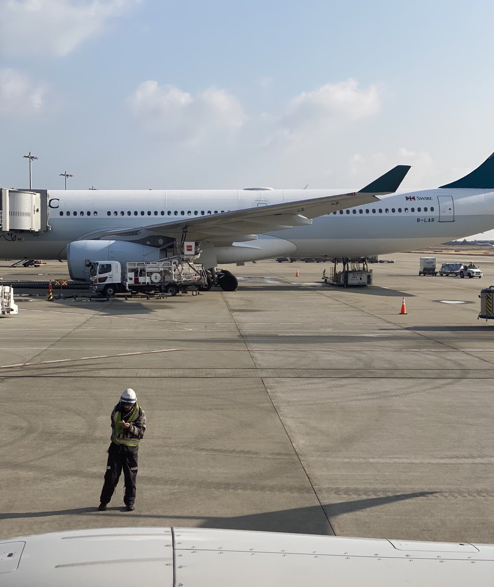 SWEET TOFU tweet media