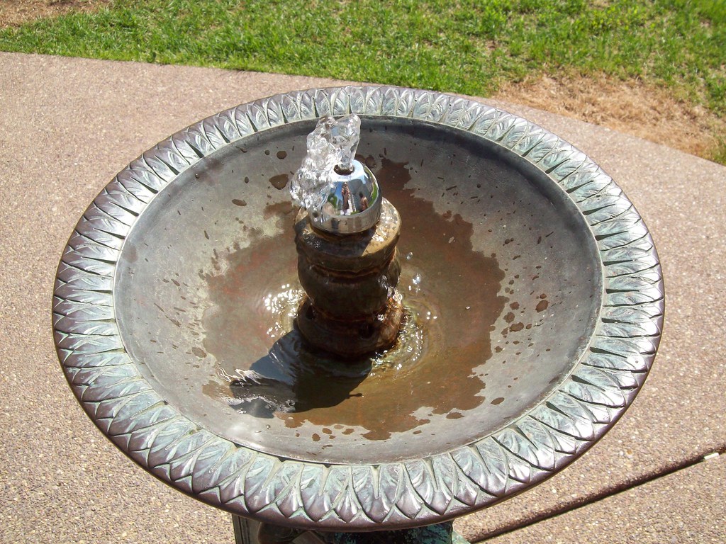 Max Ujdak tweet media