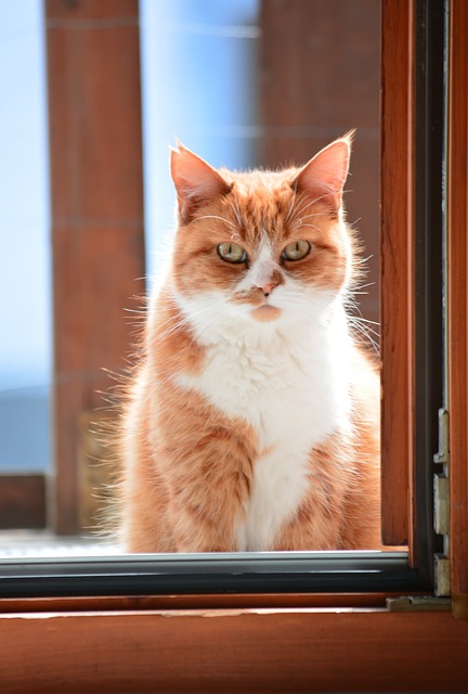 Susan Beason tweet media