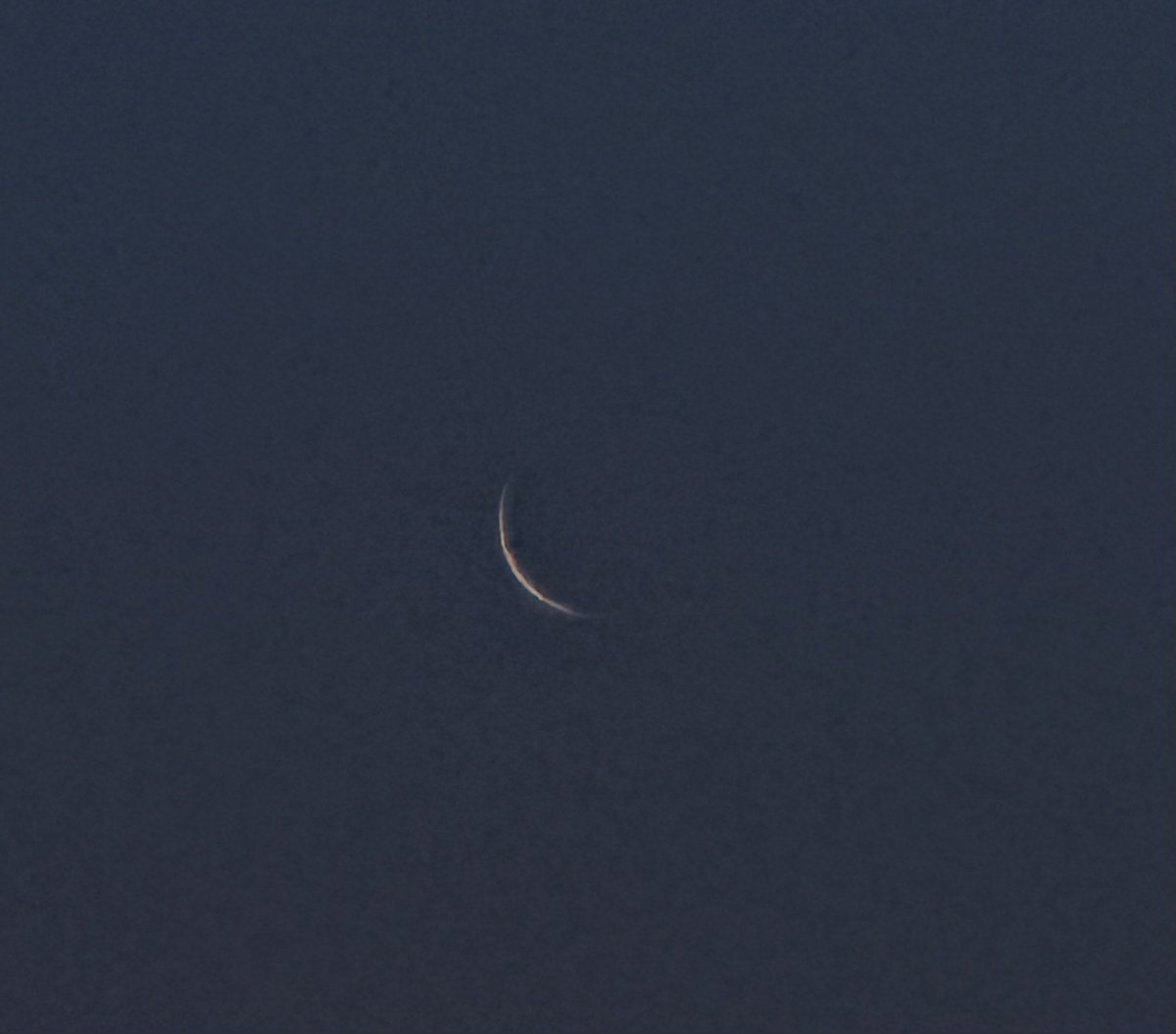 الكاسبر tweet media