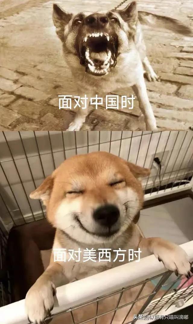 zccp88's tweet photo. @Droplet_Express https://t.co/NkqVPqbBb1
