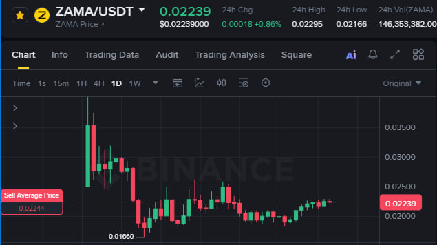 Solo Top tweet media