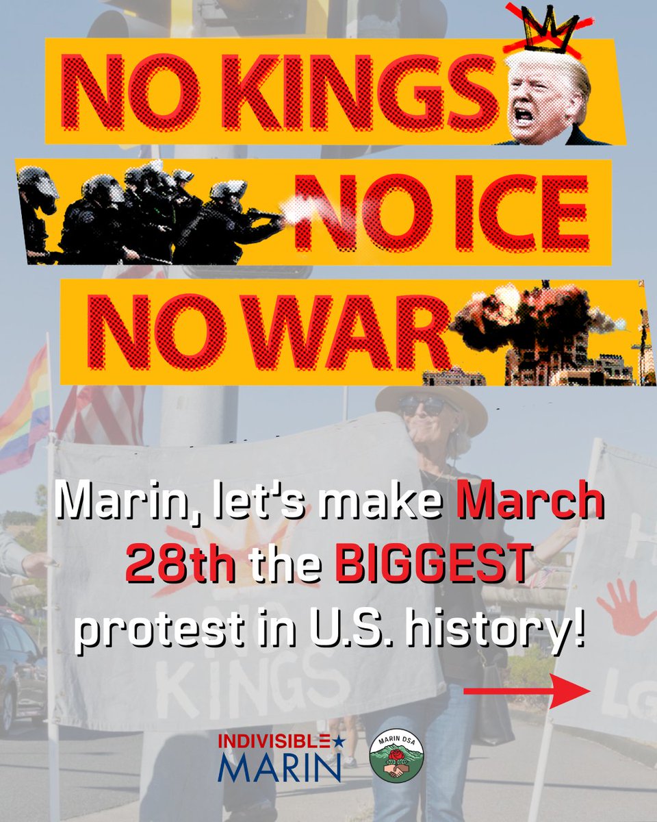 Marin DSA tweet media